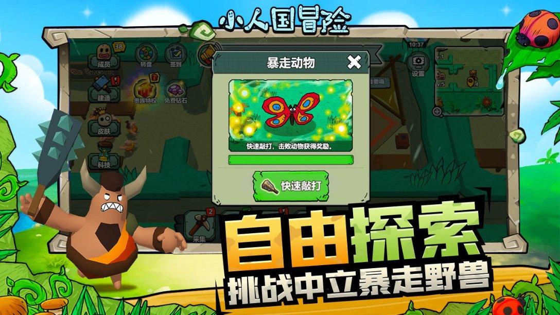 普定县化处镇:香葱丰收
